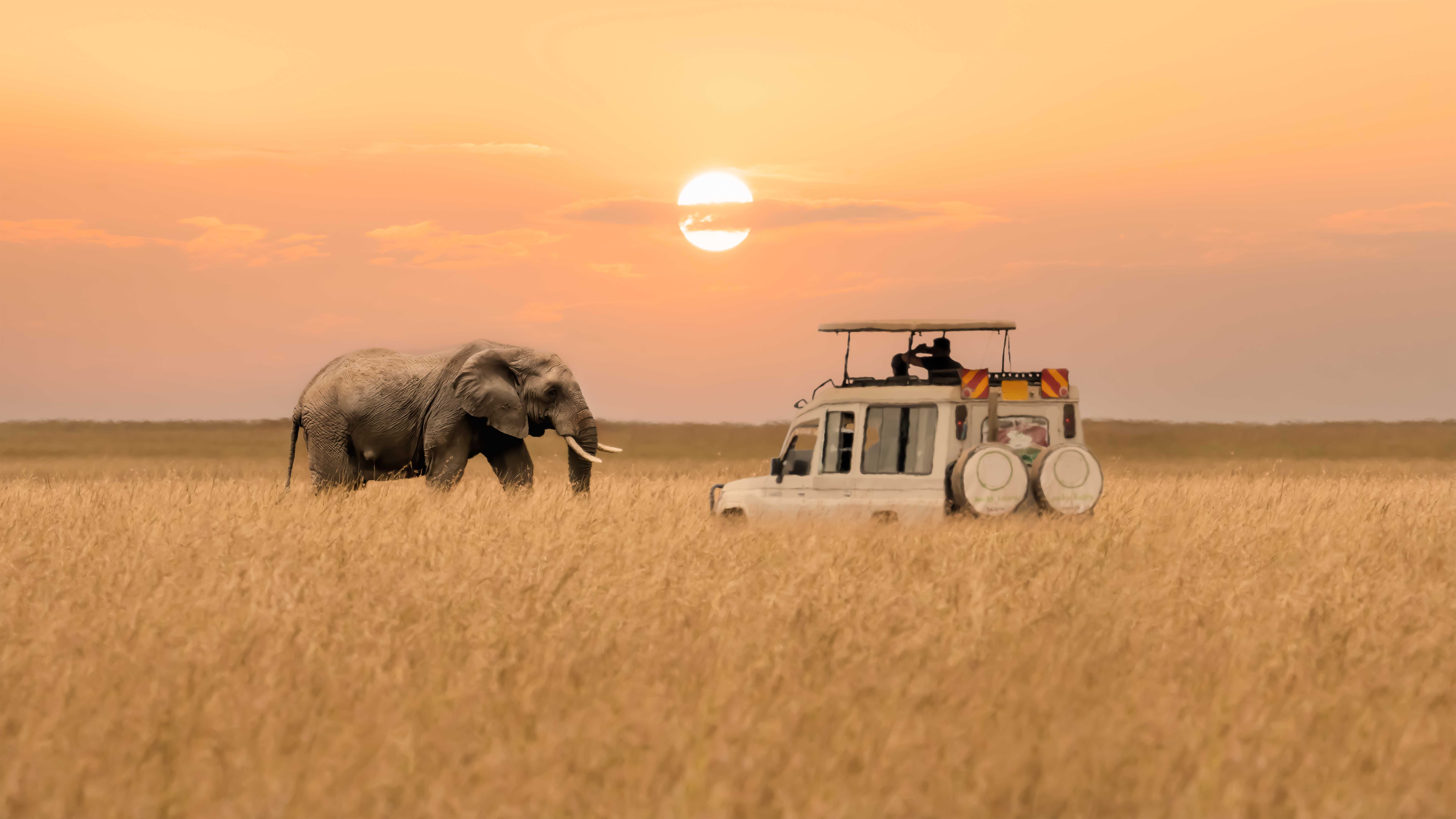 Everything To Know Before Booking Your First African Safari (From Someone Who Has Visited the Continent Over 30 Times)